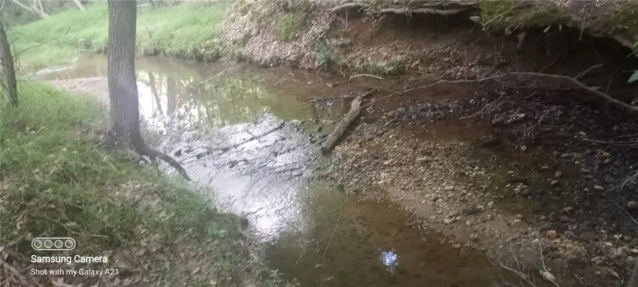 3567 Wright School Road, Anderson, SC 29621 - Image #2