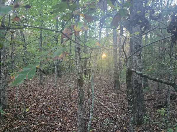 00 Battle Creek Road, Long Creek, SC 29658