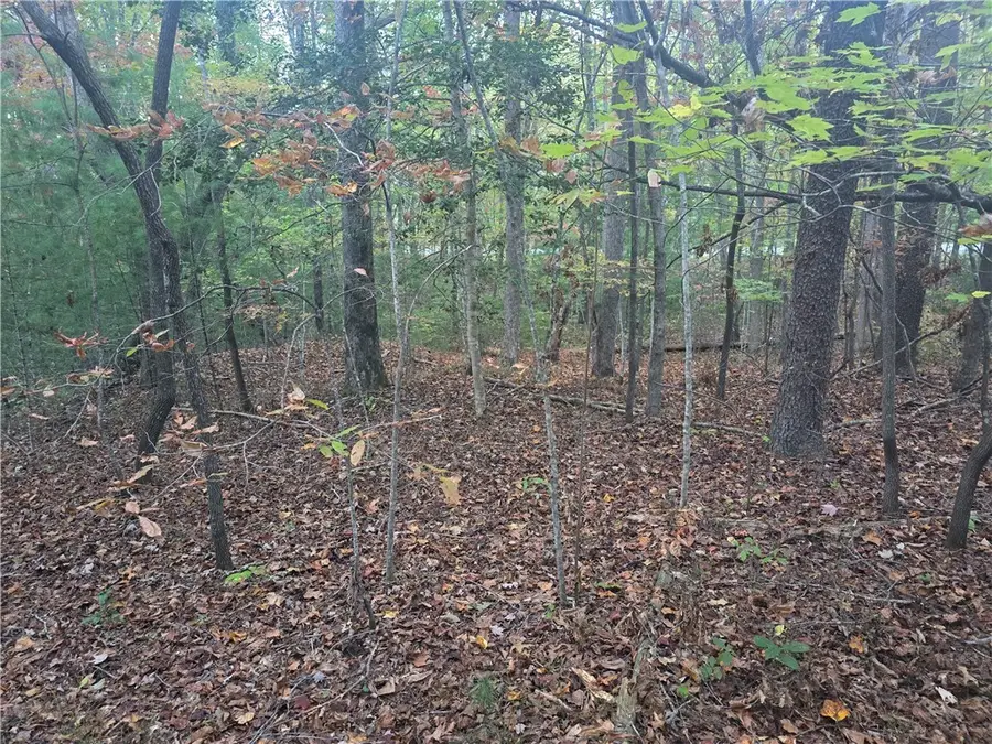 00 Battle Creek Road, Long Creek, SC 29658 - Image #3