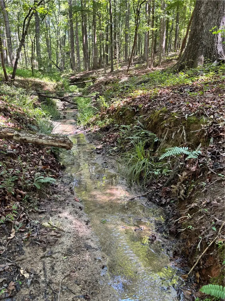 00 April Drive, Seneca, SC 29678 - Image #2