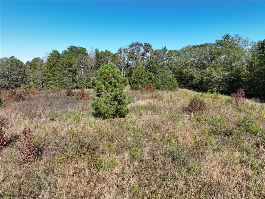 43 Joe Burton Rd Road, Honea Path, SC 29654 - Image #3