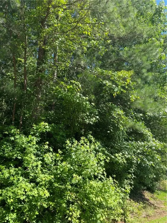 118 Augusta National Drive, Anderson, SC 29621 - Image #3