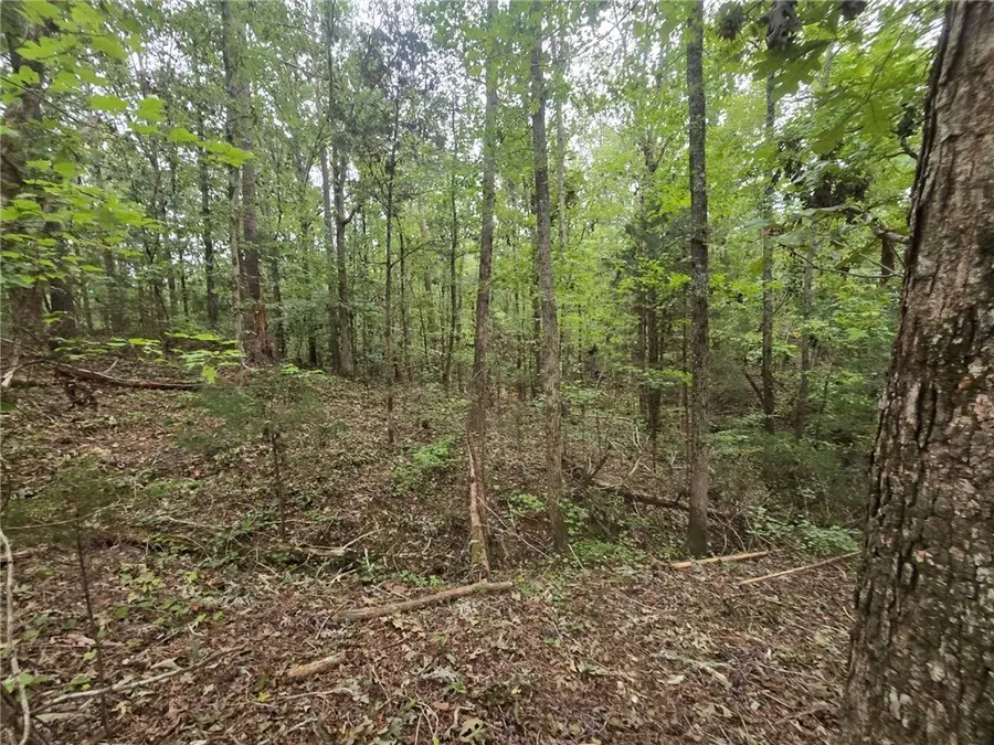 1206 Cheeks Circle, Gray Court, SC 29645 - Image #3