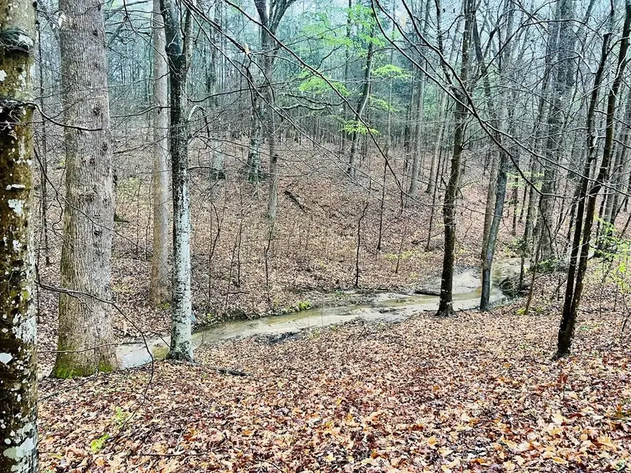 10 Cross Street, Abbeville, SC 29620 - Image #2