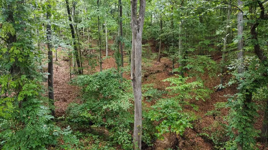 10 Cross Street, Abbeville, SC 29620 - Image #3