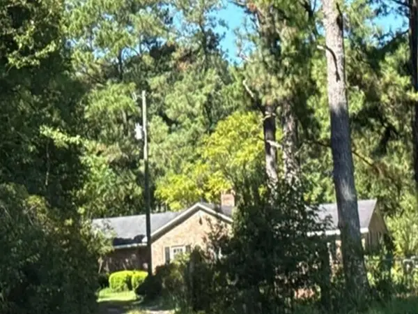 1613 Shadewater Way, Manning, SC 29102