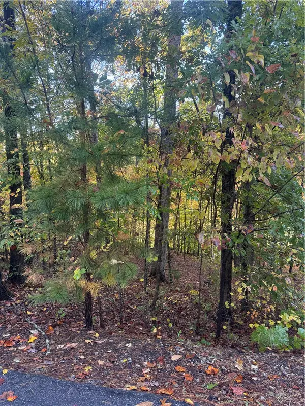 42 Channel Lane, Salem, SC 29676