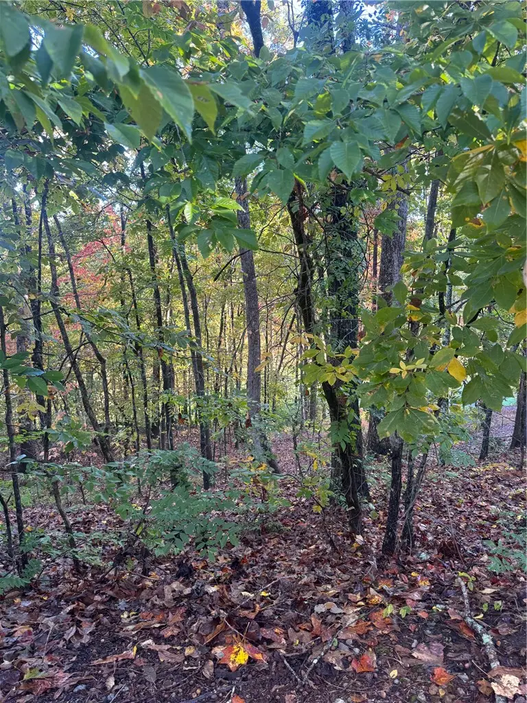 42 Channel Lane, Salem, SC 29676 - Image #2