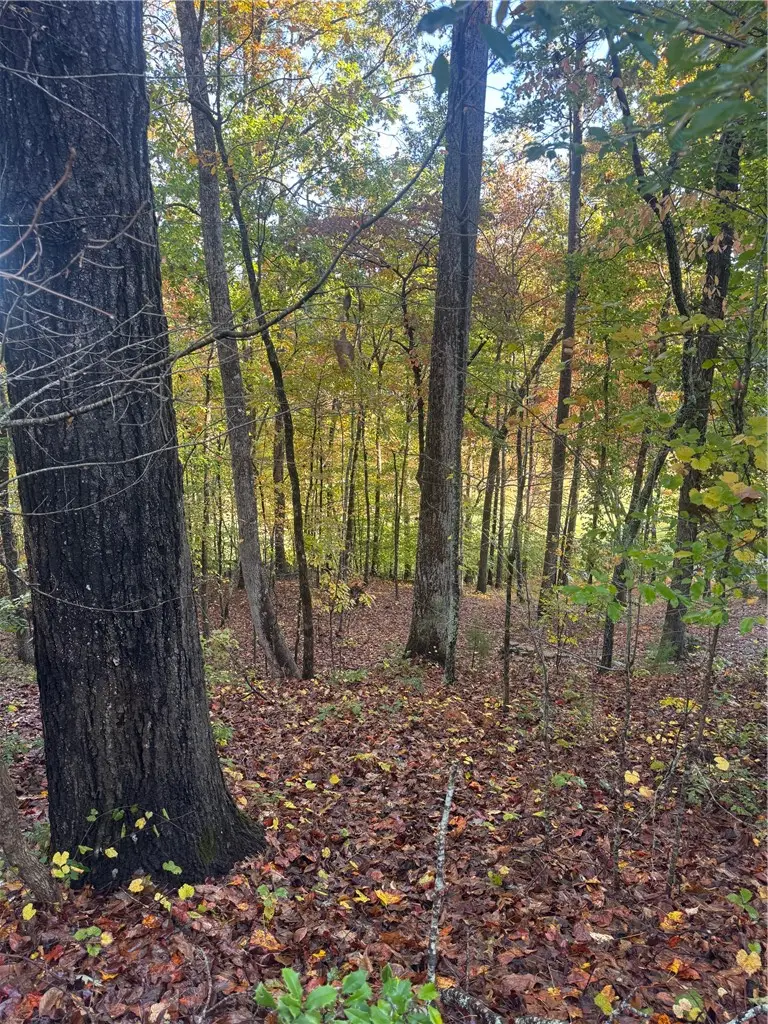 42 Channel Lane, Salem, SC 29676 - Image #3