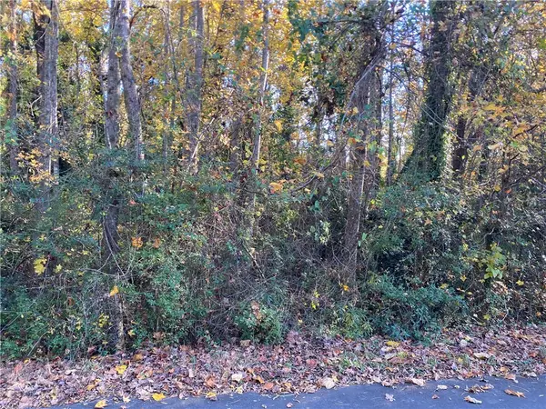 00 Brook/hampton Avenue, Honea Path, SC 29654