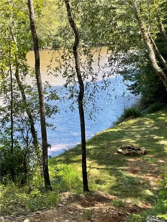 TBD Colony Lane, West Union, SC 29696 - #2