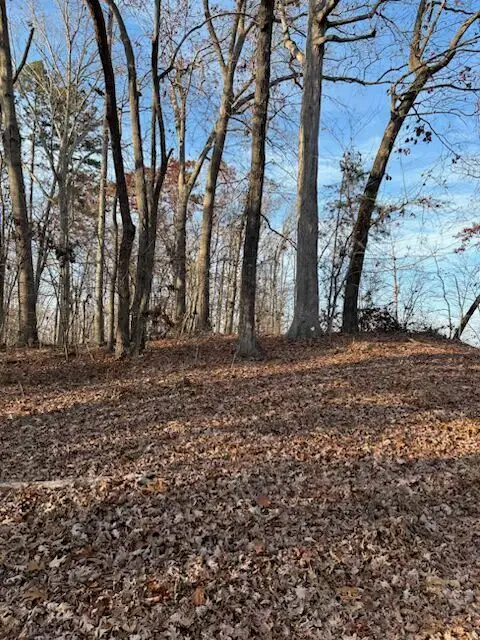 201 Oconee Avenue, Westminster, SC 29693 - Image #2