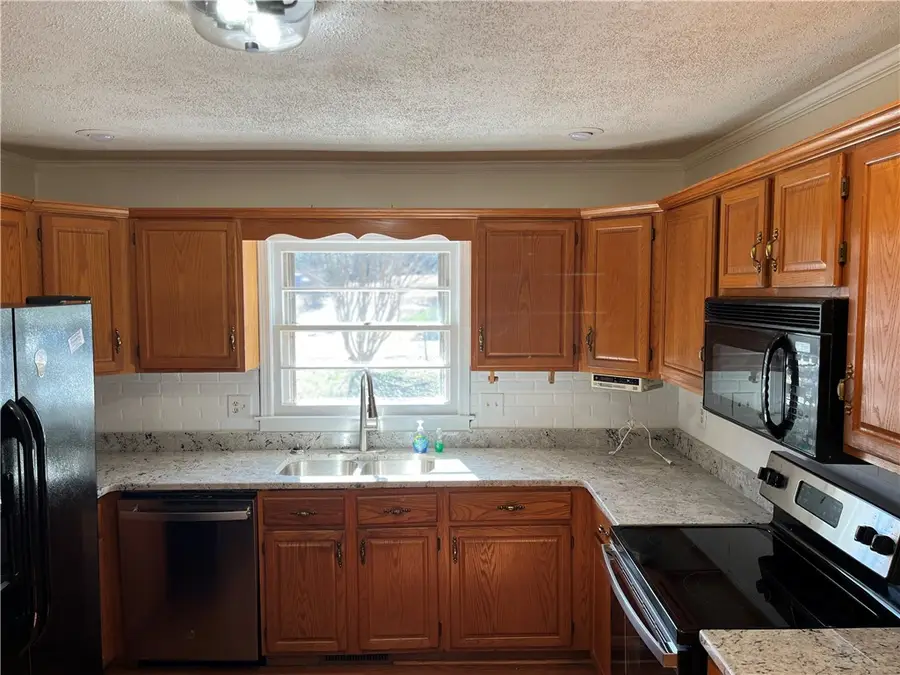 207 Skyview Drive, Clemson, SC 29631 - Image #2