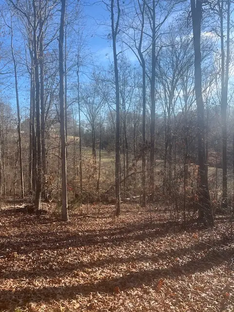 109 Falls Drive, Westminster, SC 29693