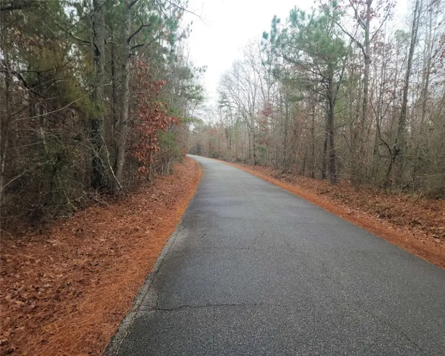 00 Scott Lane, Pelzer, SC 29669 - Image #2