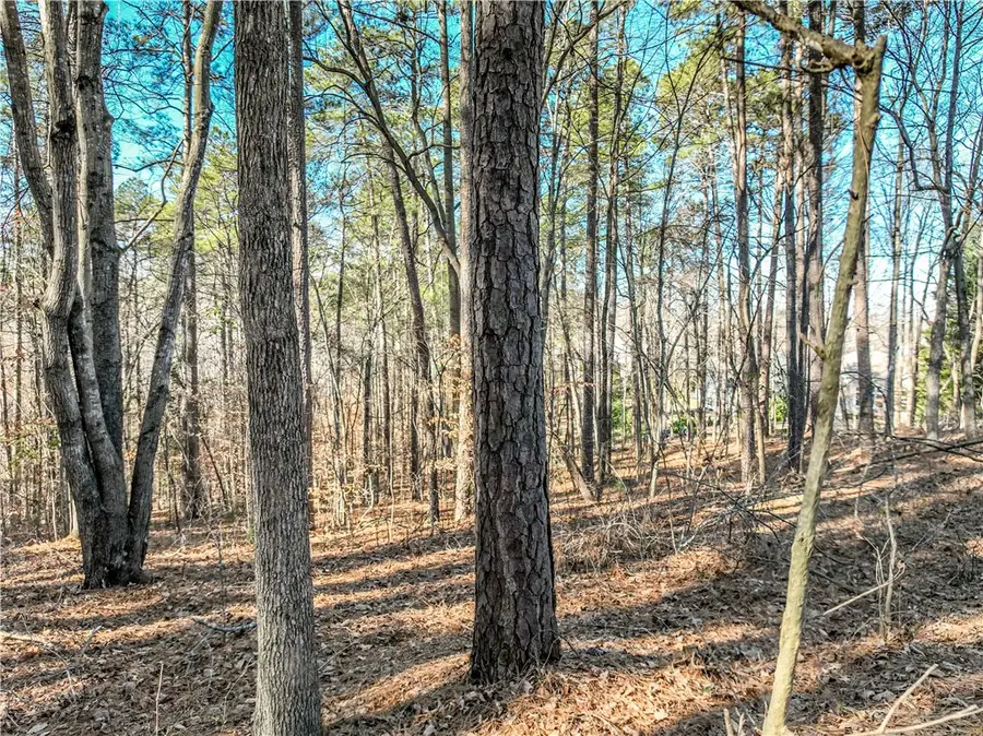 806 Bright Leaf Court, Se Bright Leaf Court, Seneca, SC 29672 - Image #3