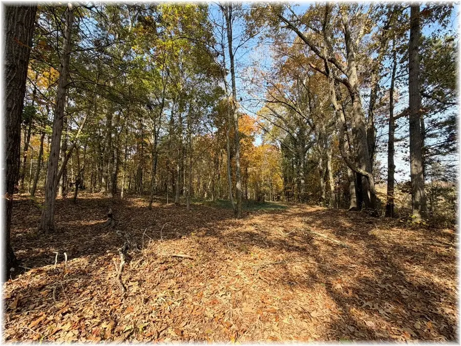 00 Grant Road, Westminster, SC 29693 - Image #2