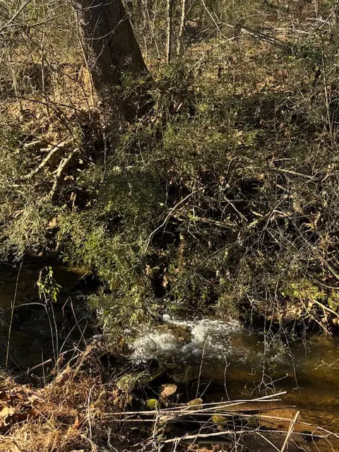 173 Glendale Lane, Easley, SC 29640 - Image #3