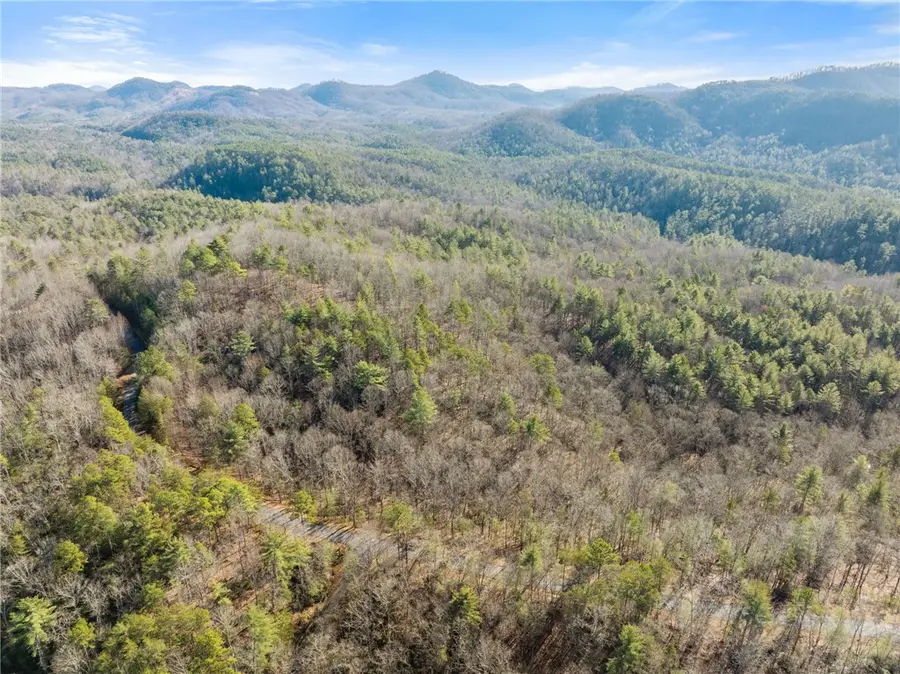 163 Eastatoe Parkway, Sunset, SC 29685 - #3