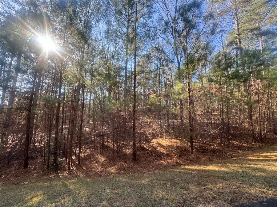 704 Timberbrook Trail, Salem, SC 29676 - Image #2