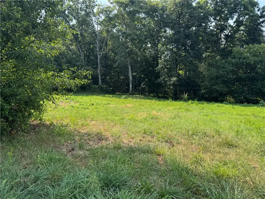 Lot 26 Arrowhead Lake Trail, Westminster, SC 29693 - Image #3