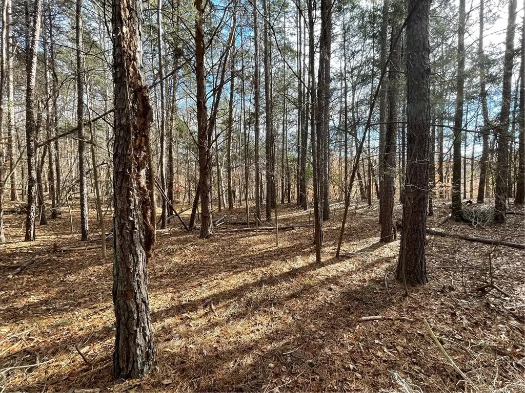 Lot 740 Fairway Lane, Westminster, SC 29693 - Image #1