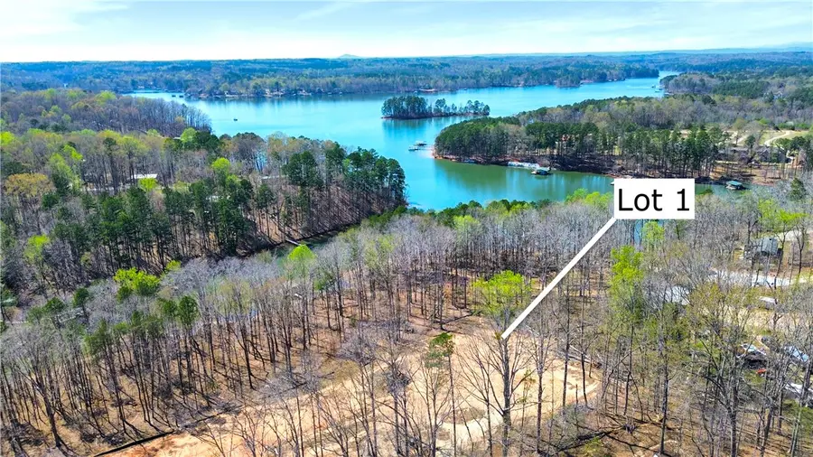 Lot 1 Elizabeth Road, Westminster, SC 29693 - #3