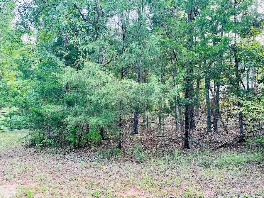 0 Lake Forest Drive, Abbeville, SC 29620 - Image #2