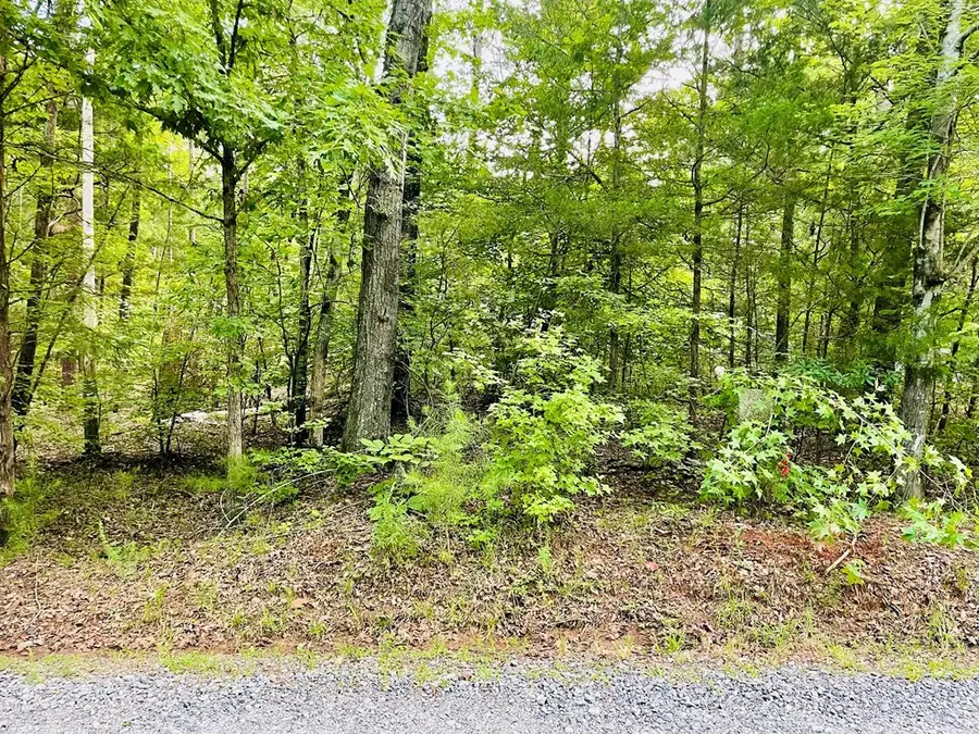 0 Lake Forest Drive, Abbeville, SC 29620 - Image #3