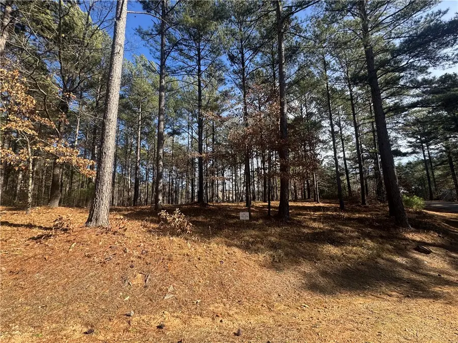 801 Mirror Lake Court, Salem, SC 29676 - Image #3