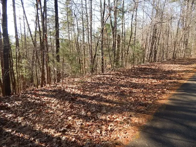 209 Bay View Drive, Salem, SC 29676 - Image #1