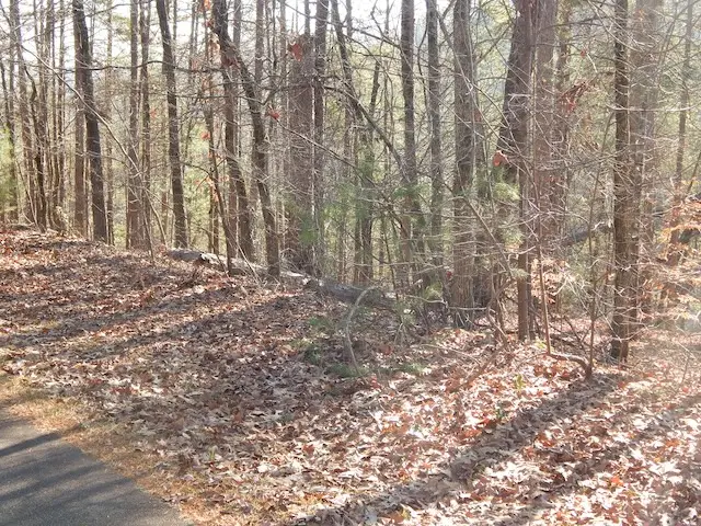 209 Bay View Drive, Salem, SC 29676 - Image #3