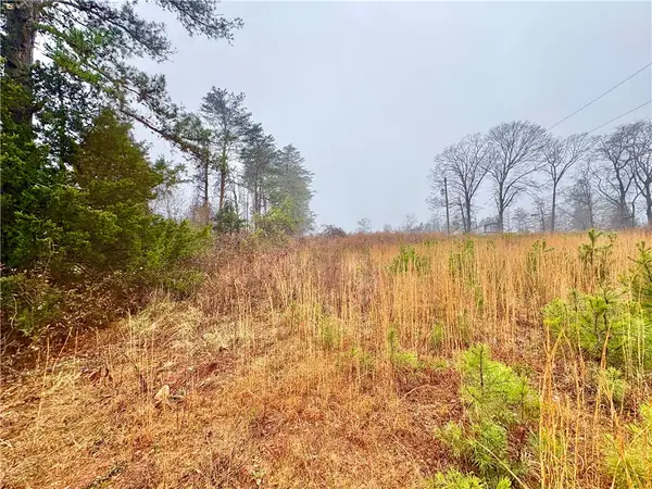 405 (Lot 5) Stewart Gin Road #Lot 5, Liberty, SC 29657