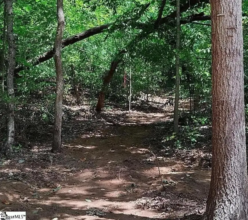 5504 Highway 24 Highway, Anderson, SC 29625 - Image #2