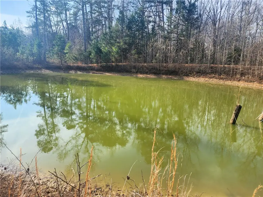 3068 Warrior Creek Church Road, Gray Court, SC 29645 - Image #3