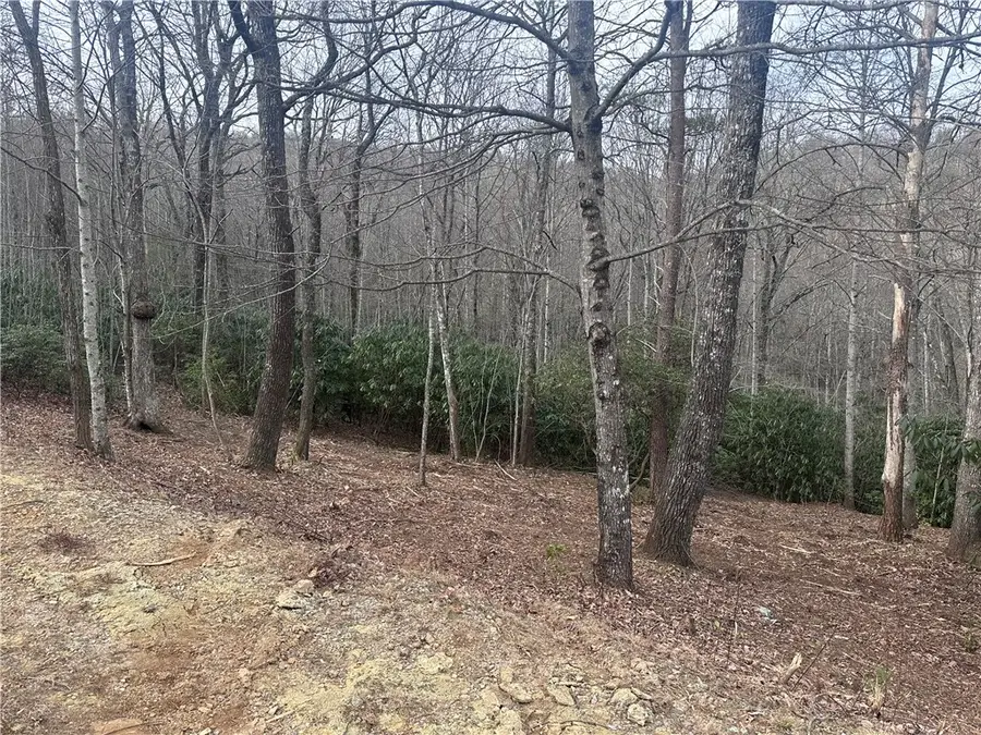 24 Blazing Star Trail, Landrum, SC 29356 - Image #2