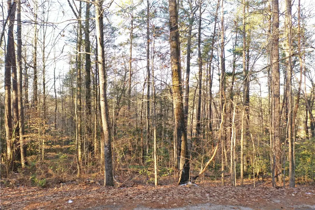 611 The Bear Boulevard, Tamassee, SC 29686 - #1