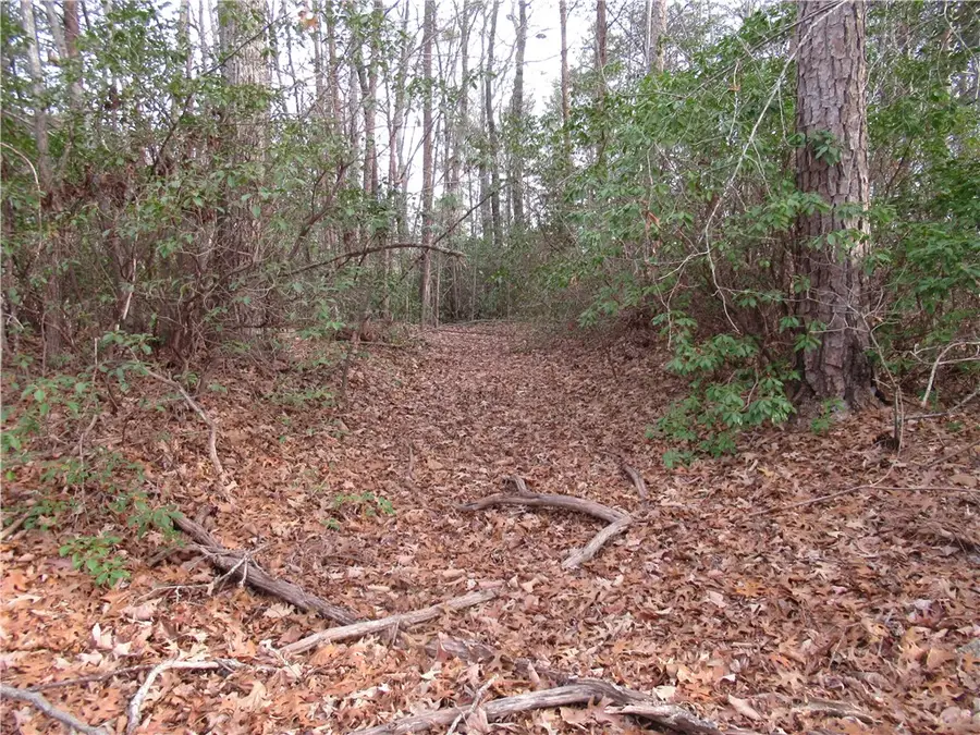 00 Lone Rock Court, Pickens, SC 29671 - Image #3