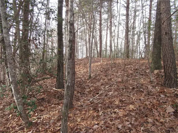 107 Lone Rock Court, Pickens, SC 29671