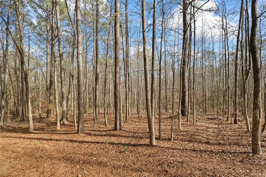 1747 Dalrymple Road, Anderson, SC 29621 - Image #3