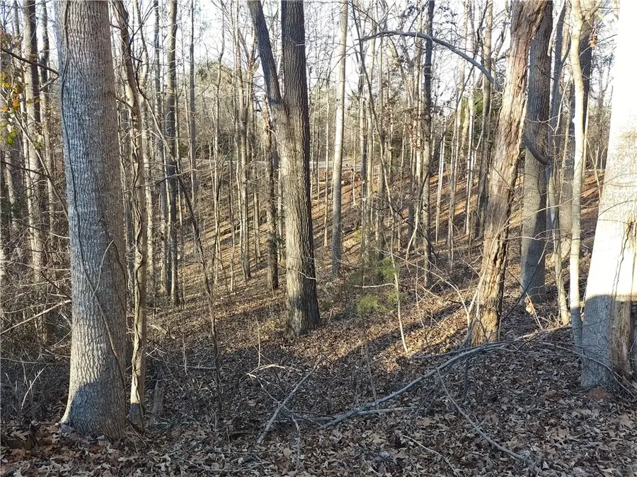 00 Sequayah Drive, Fair Play, SC 29643 - #3