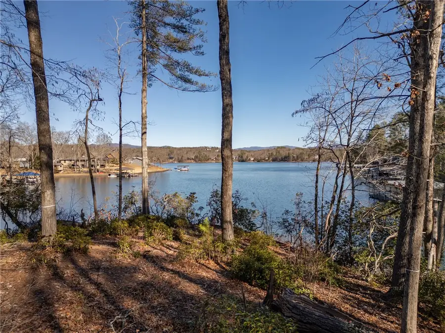 Lot 54 - 507 Turtlehead Drive, Salem, SC 29676 - Image #3
