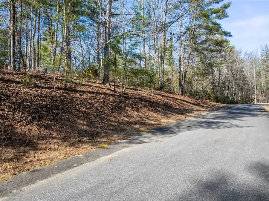 318 Ginseng Drive, Sunset, SC 29685 - Image #3