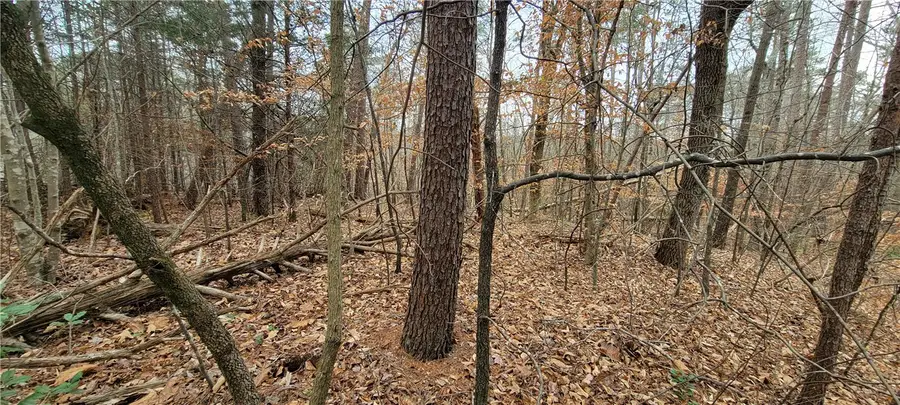 311 Sugarbush Court, Westminster, SC 29693 - Image #3