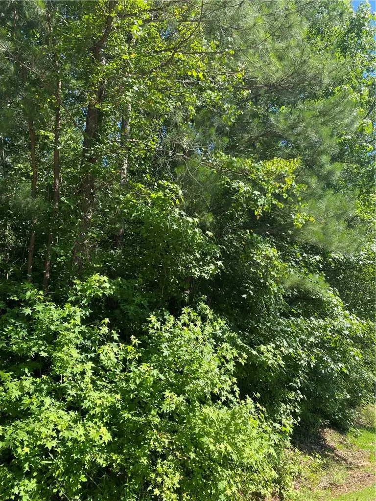 118 Augusta National Drive, Anderson, SC 29621 - Image #3