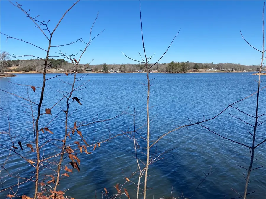 38 Waterside Point, Abbeville, SC 29620 - #3