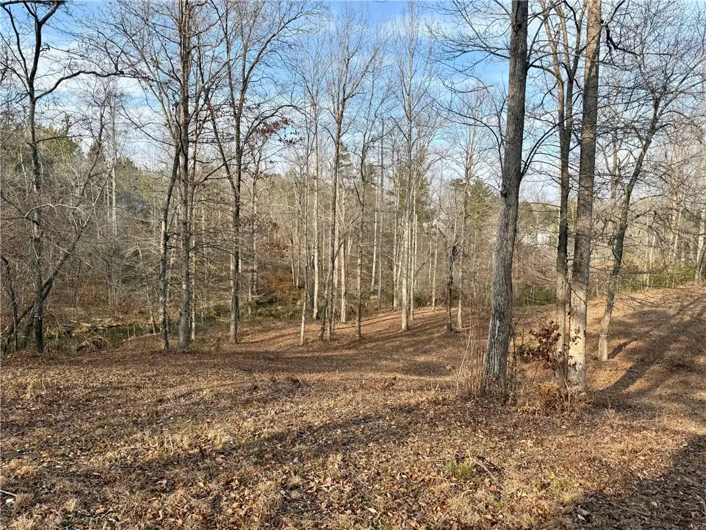 Lot 49 Stardust Lane, Seneca, SC 29672 - #1
