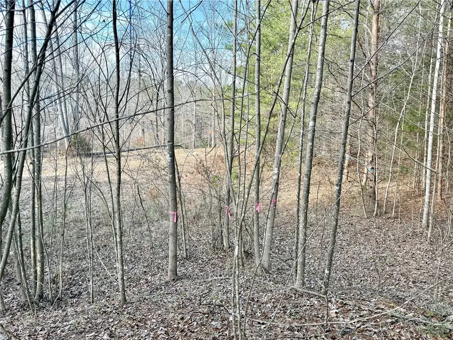 Lot 48 Stardust Lane, Seneca, SC 29672 - #3