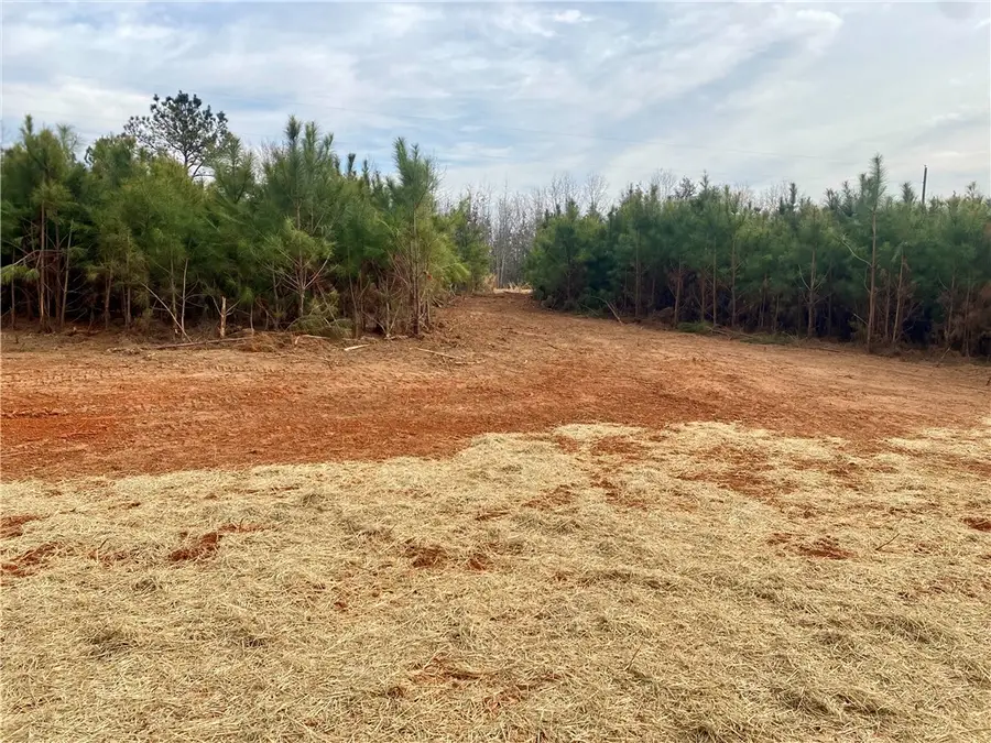 384 Skippers Lodge Road, Cross Hill, SC 29332 - #3