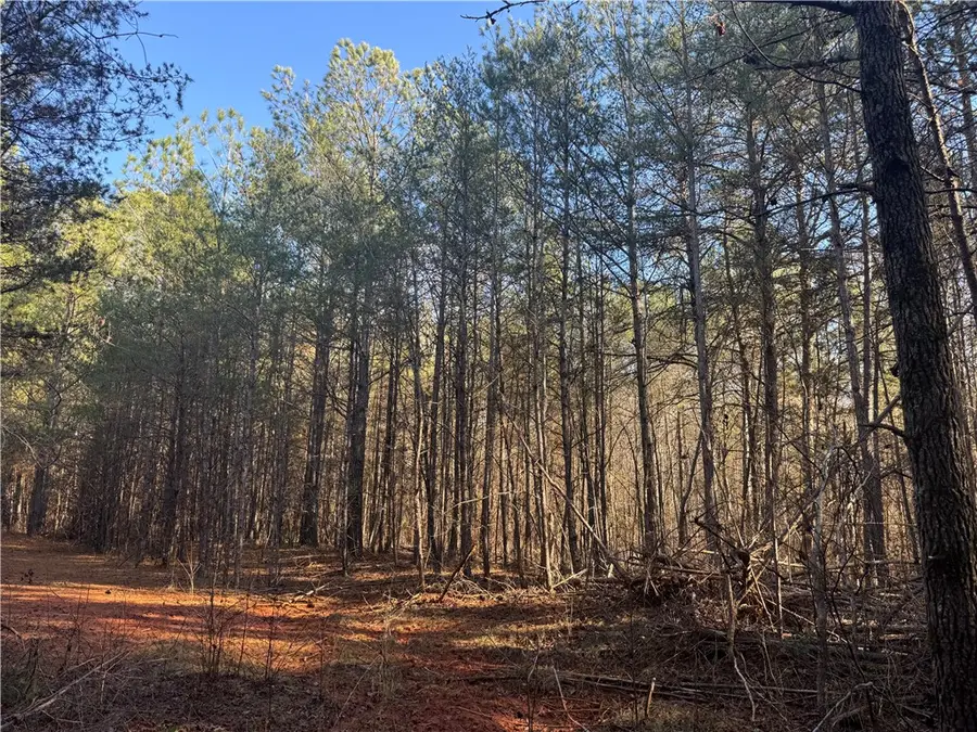 61 Highway 145, Eastanollee, GA 30538 - #3